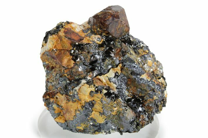 Fluorescent Zircon Crystal and Magnetite in Biotite Schist - Norway #351546